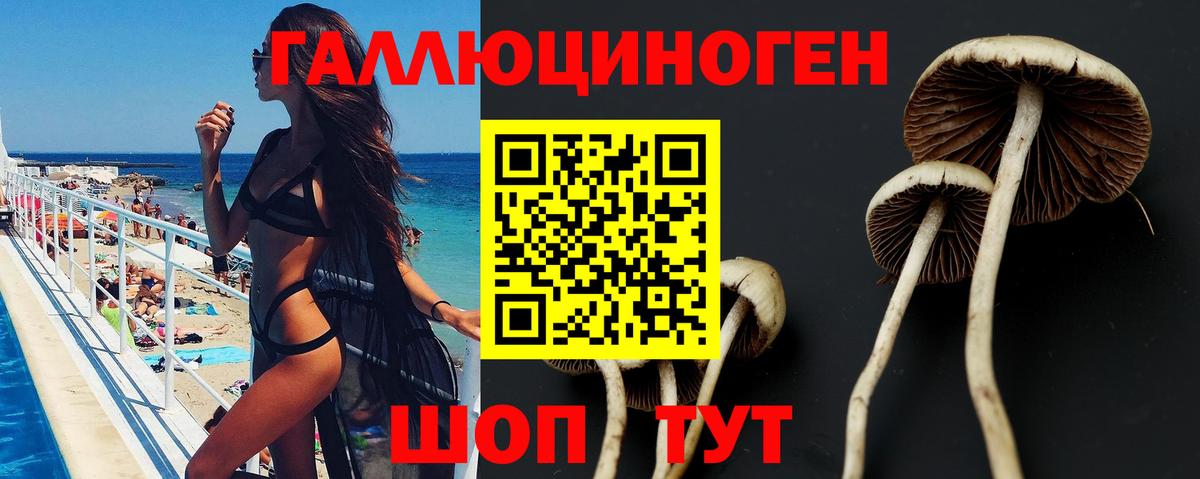 Галлюциногенные грибы Magic Shrooms  Вход с VPN  Менделеевск 